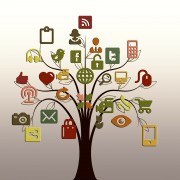 Social Media Tree