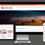 responsive website
