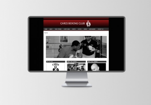 caris boxing website design