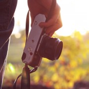 free stock photos